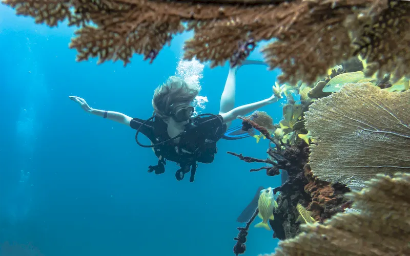Scuba diver beside coral at Manchones Reef
