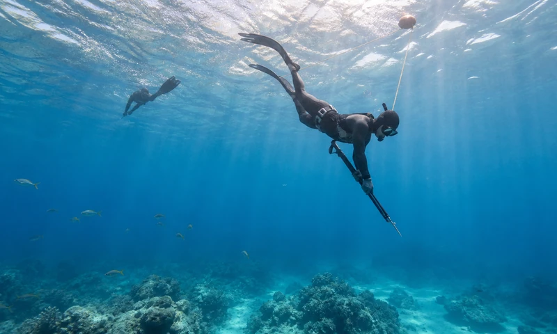 Freediver practicing responsible breath-hold spearfishing near Isla Mujeres