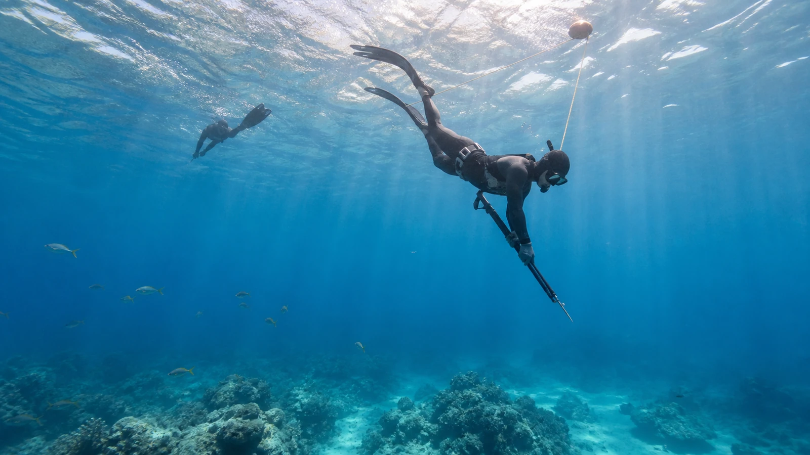 Freediver practicing responsible breath-hold spearfishing near Isla Mujeres