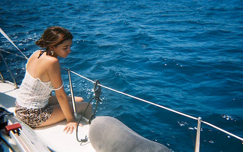 Traveler seated aboard a whale shark tour boat