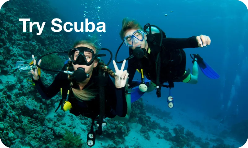 Try Scuba Beginner Diving Experience