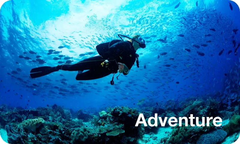 Adventure Diving and Offshore Expeditions