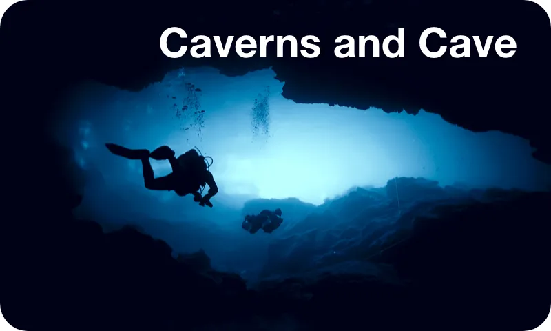 Cavern and Cave Diving in the Yucatán Peninsula