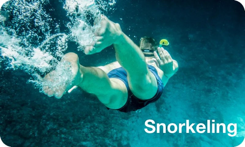 Guided Snorkeling in Isla Mujeres