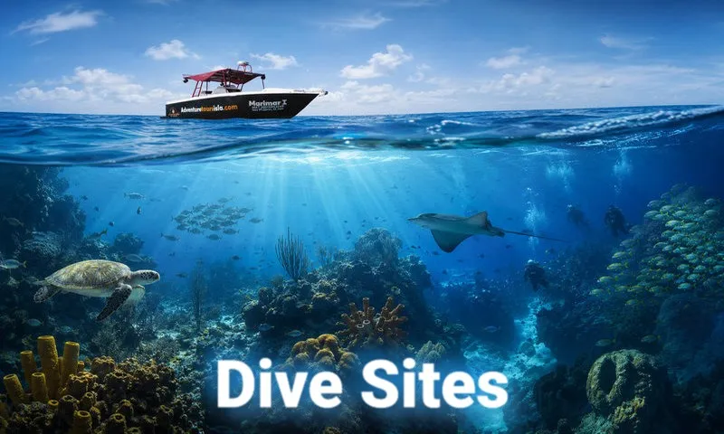 Dive Sites Around Isla Mujeres