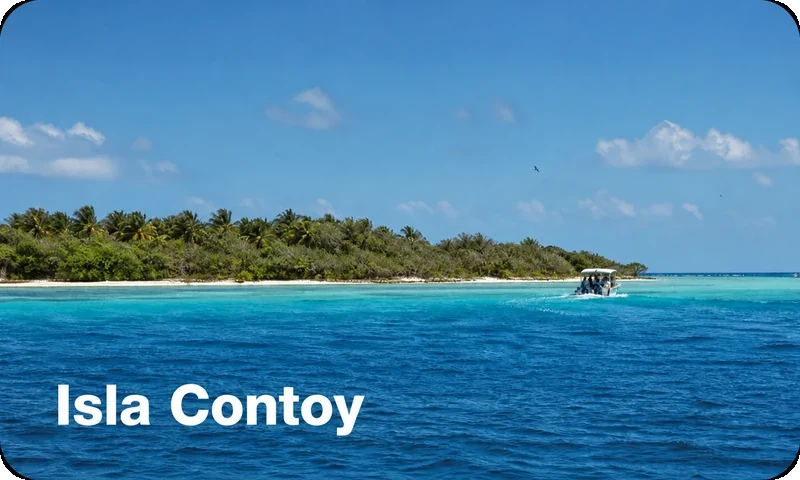 Isla Contoy tour across protected Caribbean waters