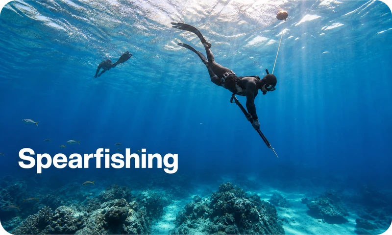 Breath-hold spearfishing in Isla Mujeres