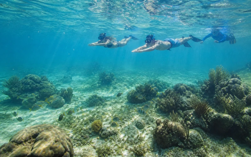 Guests snorkeling responsibly above a shallow reef near Isla Contoy