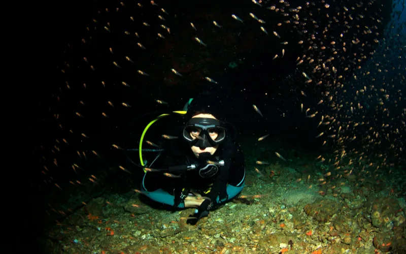 Certified scuba diver using a dive light during a guided night dive in Isla Mujeres